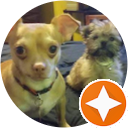 Evelyn Ray profile picture