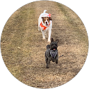 Renee' Hampshire profile picture