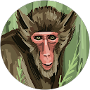 Michael Comer profile picture