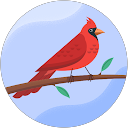 Nicole Chambers profile picture